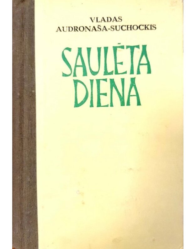 Saulėta diena - Audronaša-Suchockis Vladas