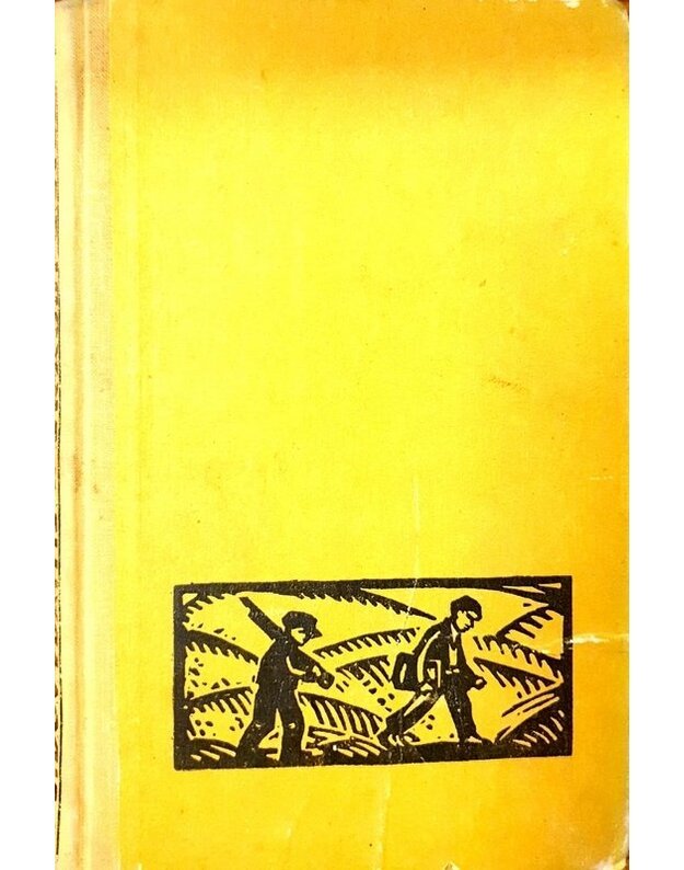 Skaudi šviesa. Romanas - Dovydaitis Jonas