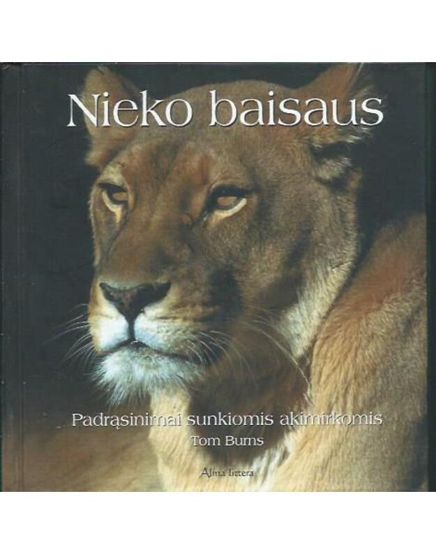 Nieko baisaus. Padrąsinimai sunkiomis akimirkomis - Tom Burns