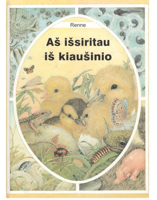 Aš išsiritau iš kiaušinio - Renne