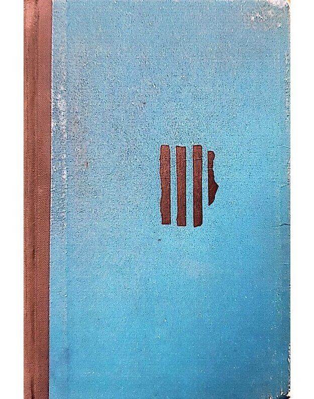 Penkios minutės po vidurnakčio - Eglinis-Elinas Mejeris