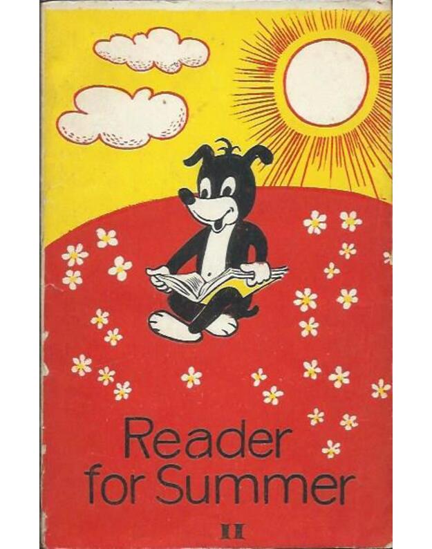 Reader for Summer II - Kostenko T. T., sudarytoja