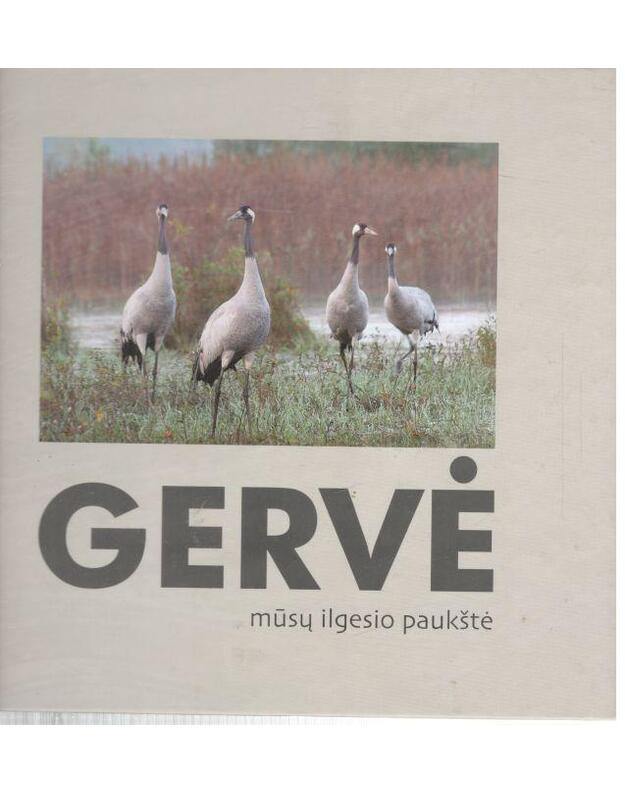 Gervė. Mūsų ilgesio paukštė / Iliustruotoji Lietuvos gamta - Barauskas Romualdas, sudarytojas