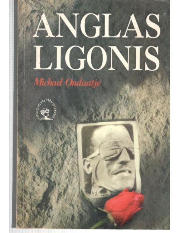 Anglas ligonis / Garsiausios XX a. pabaigos knygos - Ondaatje Michael 