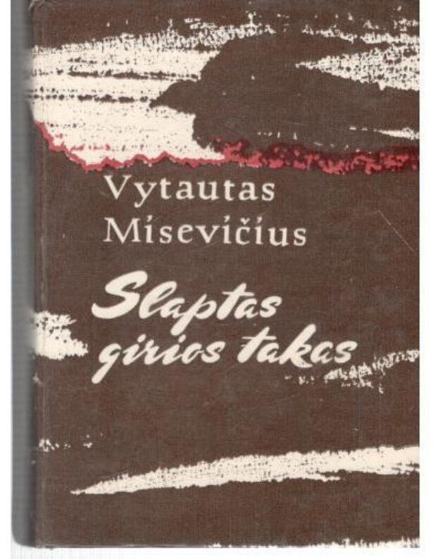 Slaptas girios takas. Apybraižos - Misevičius Vytautas