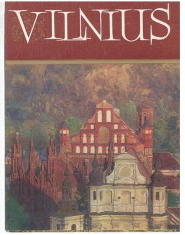 Vilnius 1976. Aplanke 13 atvirukų - nuotraukos A. Andrejevo r D. Mackonio