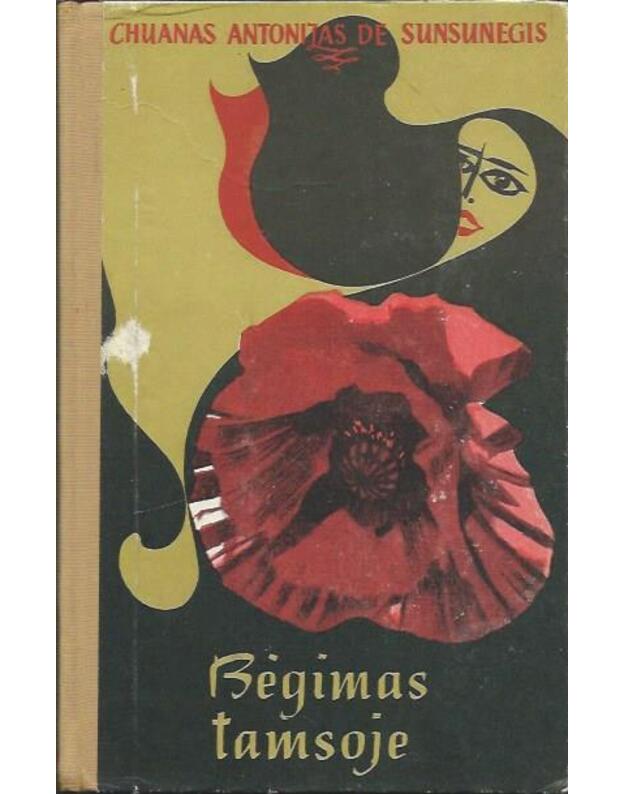 Bėgimas tamsoje. Romanas - De Sunsunegis Chuanas Antonijas 