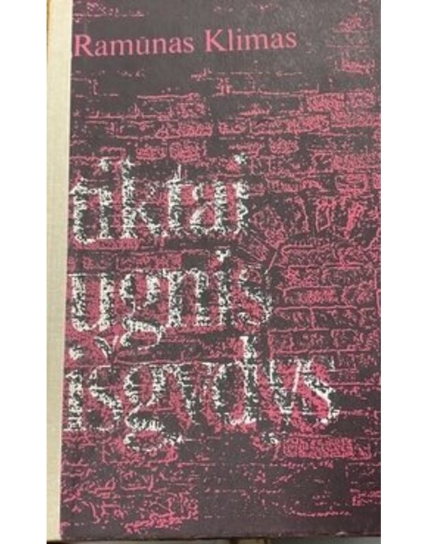 Tiktai ugnis išgydys. Romanas - Klimas Ramūnas 