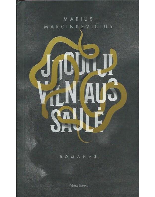 Juodoji Vilniaus saulė - Marcinkevičius Marius