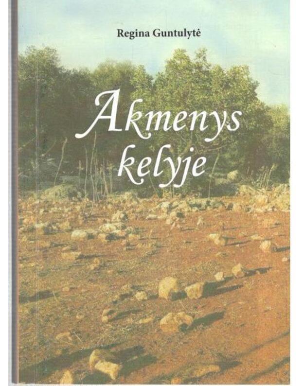 Akmenys kelyje. Romanas - Guntulytė Regina 
