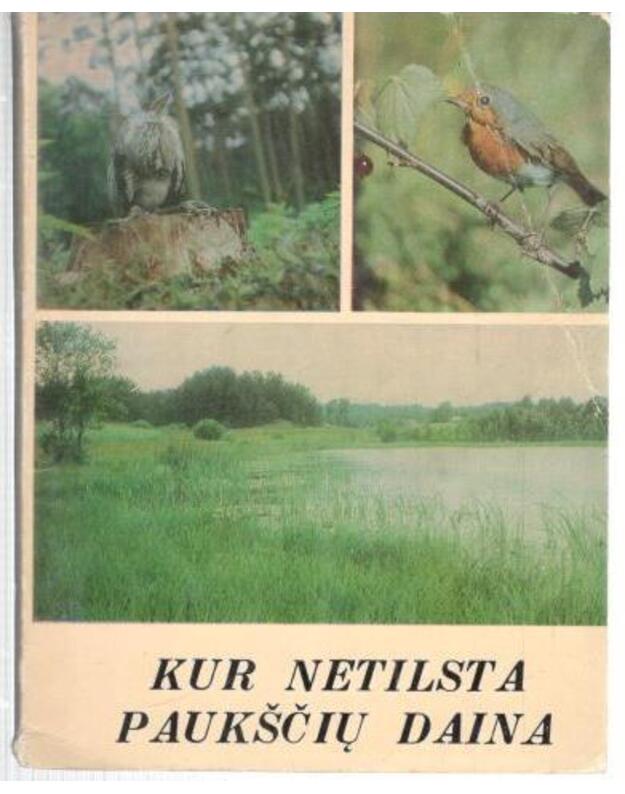 Kur netilsta paukščių daina - Romualdas Šimkūnas