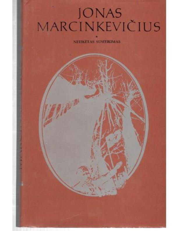 Netikėtas susitikimas. Apsakymai - Marcinkevičius Jonas