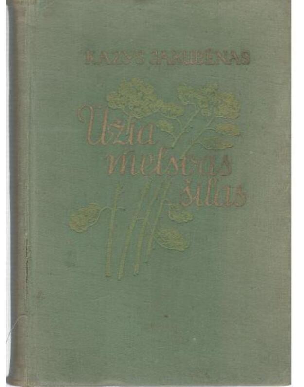 Ūžia melsvas šilas. Poezija - Jakubėnas Kazys