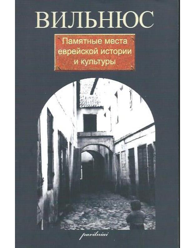 Vilnius. Pamiatnyje mesta Evrejskoj istorii i kultury - Guzenberg Irina