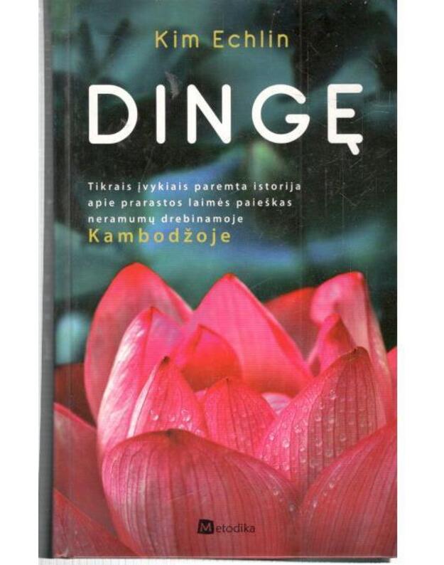 Dingę / The Disappeared - Echlin Kim