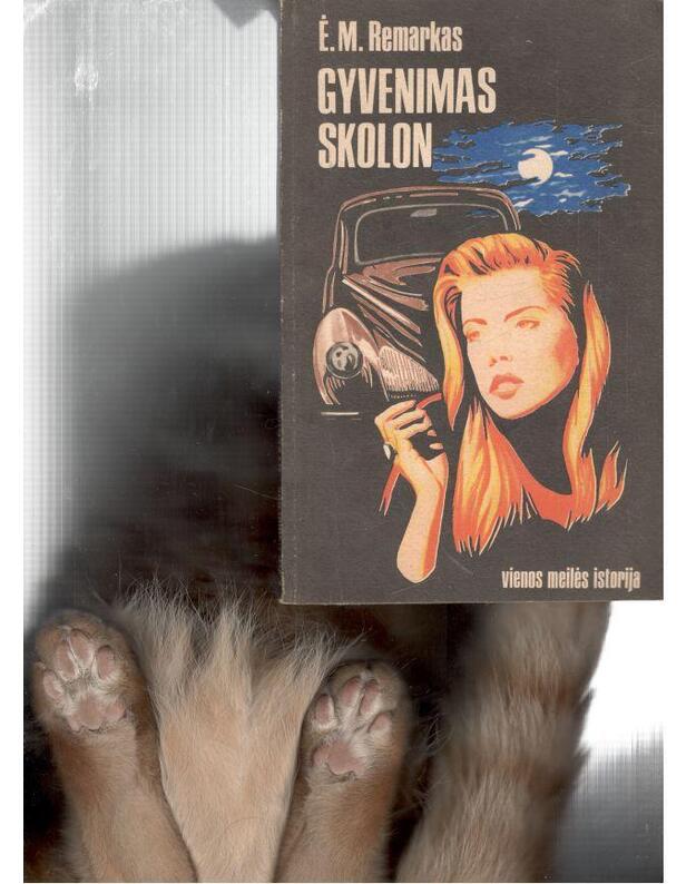 Gyvenimas skolon. Vienos meilės istorija - Remarkas E. M.