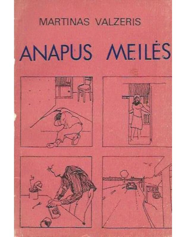 Anapus meilės. Romanas - Valzeris Martinas 