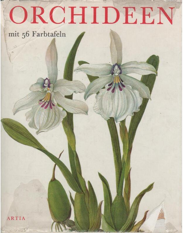 Orchideen mit 56 Farben - Oplt Jaroslav