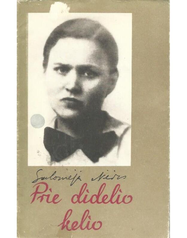 Prie didelio kelio - Nėris Salomėja 