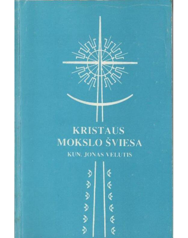 Vienos pokylis. Romanas - Elena De Strozzi