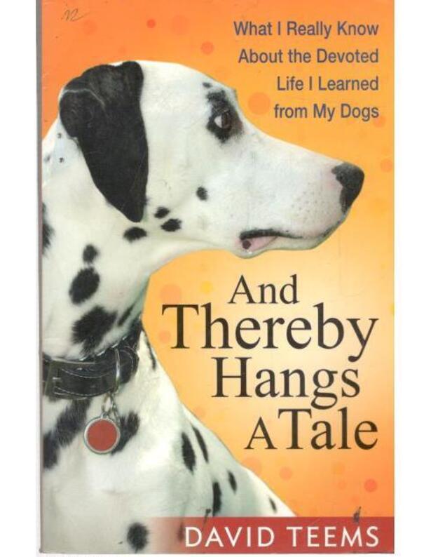 And thereby hangs a tale - David Teems