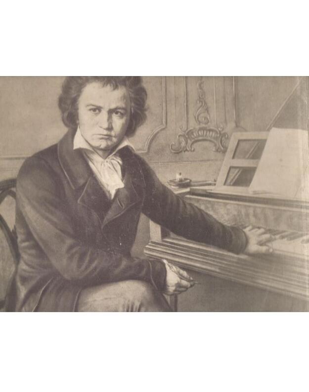 32 sonaty dlia fortepiano. Liudvig Van Bethoven - Bethoven Liudvig Van