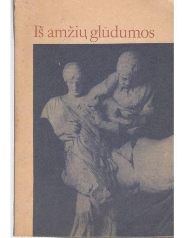 Iš amžių glūdumos - Domašnevas A., Drozdova T.