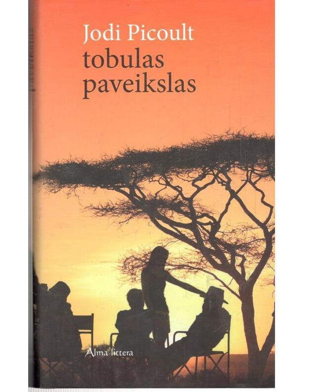 Tobulas paveikslas - Picoult Jodi