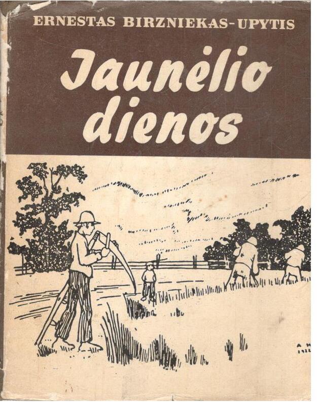 Jaunėlio dienos. Trilogija - Upytis Andrejis