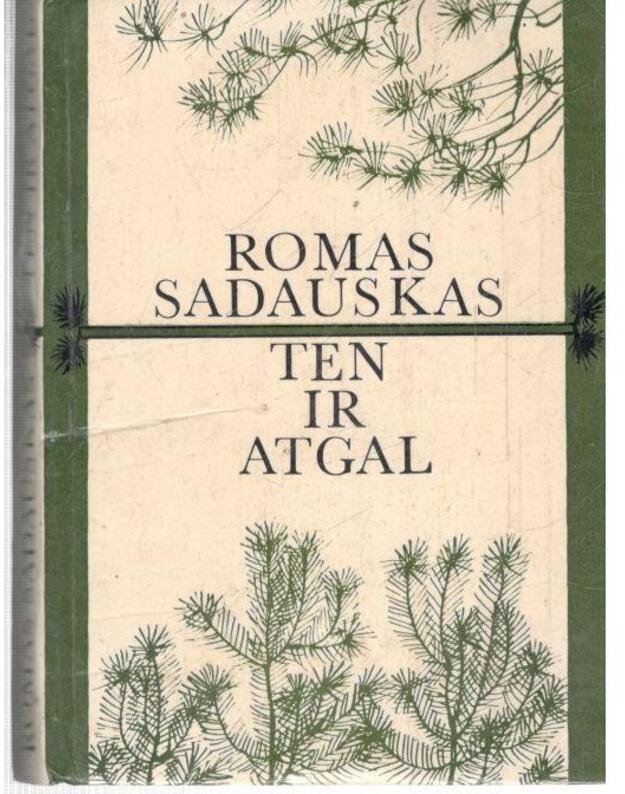 Ten ir atgal. Apybraižos - Sadauskas Romas