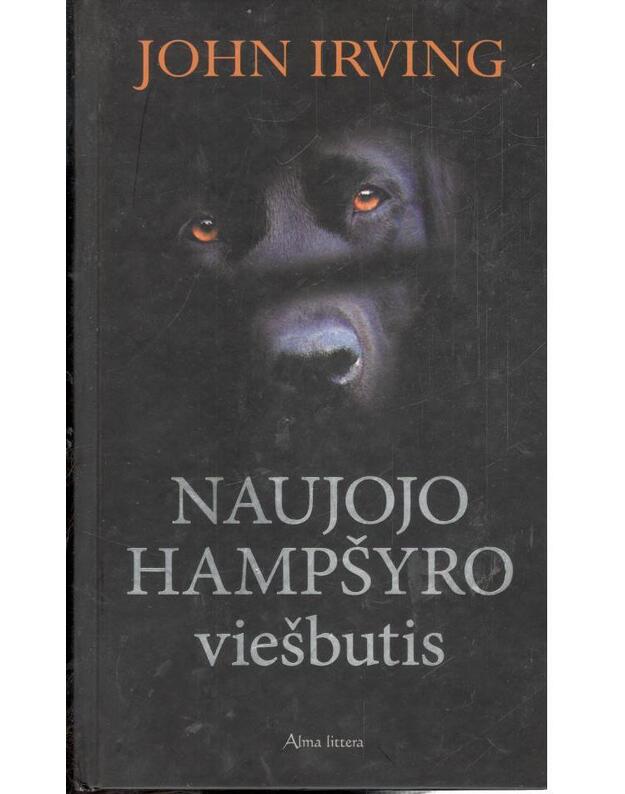 Naujojo Hampšyro viešbutis - Irving John