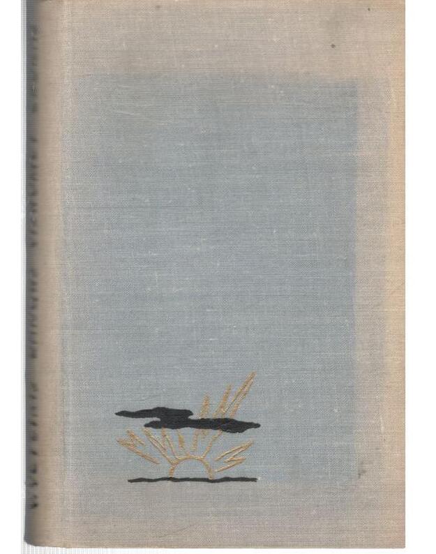 Dangus visuomet žydras - Veteikis Vyt.