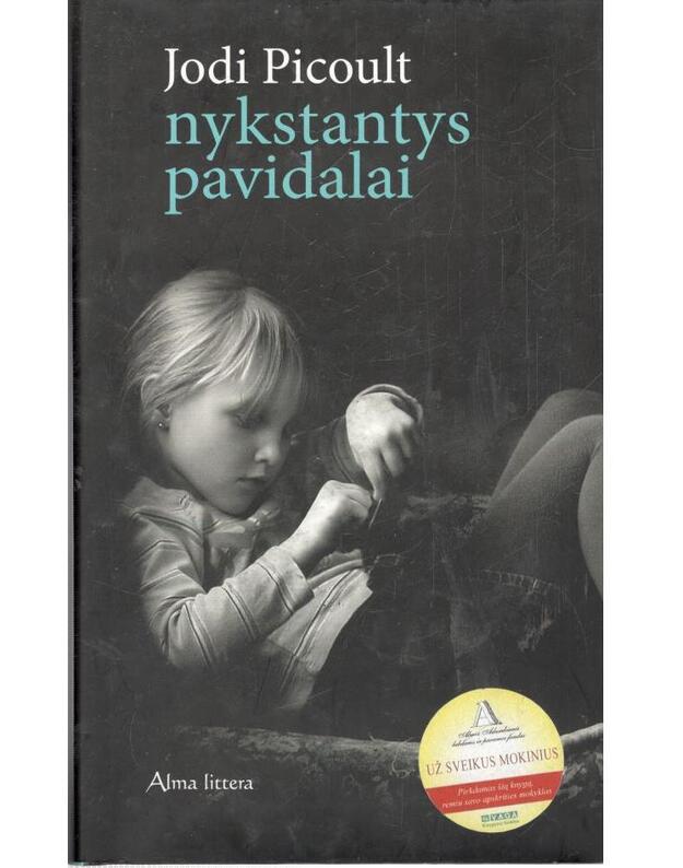 Nykstantys pavidalai - Picoult Jodi 