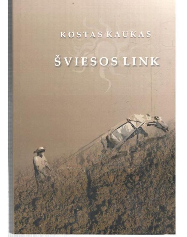 Šviesos link. Straipsniai, feljetonai, kalbos, užrašai - Kaukas Kostas
