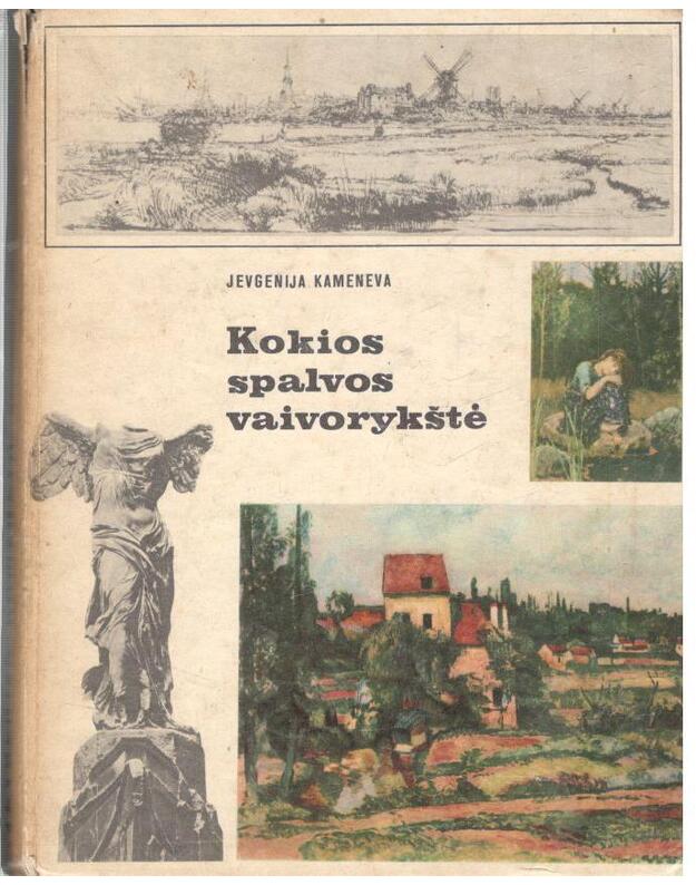Kokios spalvos vaivorykštė - Kameneva Jevgenija 