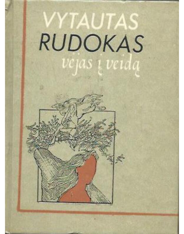 Vėjas į veidą. Lyrinis dienoraštis - Rudokas Vytautas