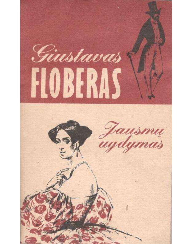 Jausmų ugdymas. Romanas - Floberas Giustavas