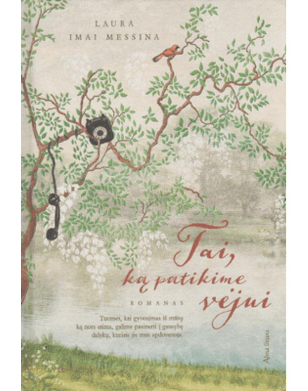 Tai, ką patikime vėjui. Romanas - Messina Laura Imai