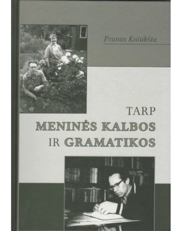 Tarp meninės kalbos ir gramatikos - Kniūkšta Pranas