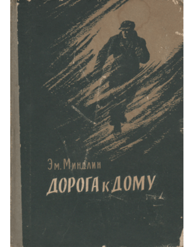 Doroga k domu. Roman - Ljvovič Mindlin
