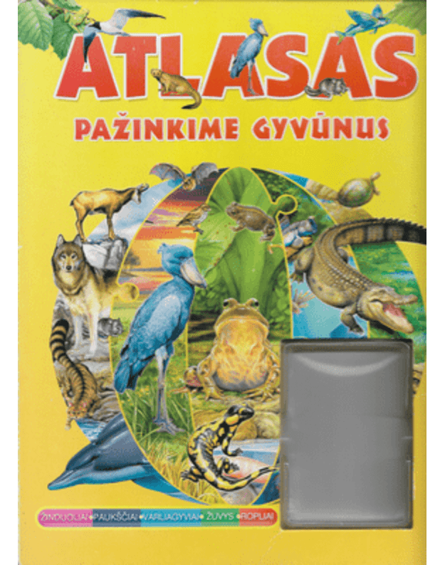 Atlasas. Pažinkime gyvūnus - Bulman Katarzyna