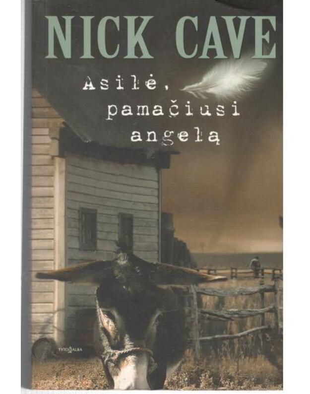 Asilė, pamačiusi angelą. Romanas - Cave Nick