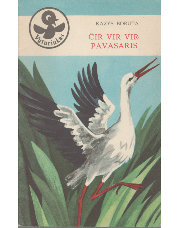Čir vir vir pavasaris - Boruta Kazys 