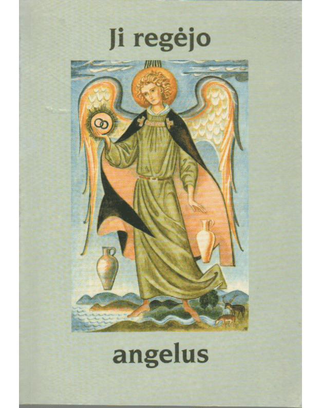 Ji regėjo angelus. Motina Gabrielė Biterlich. Gyvenimas ir misija - Biterlichas Hansjorgas