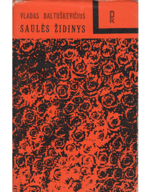 Saulės židinys - Baltuškevičius Vladas