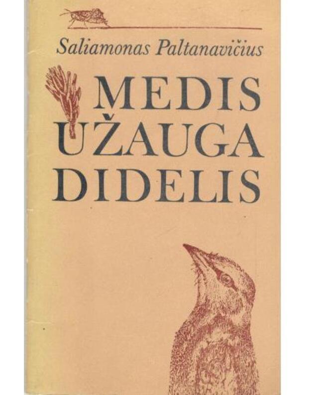 Medis užauga didelis. Apsakymai - Saliamonas Paltanavičius