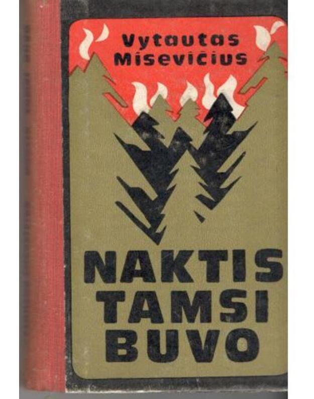 Naktis tamsi buvo. Apysaka - Misevičius Vytautas