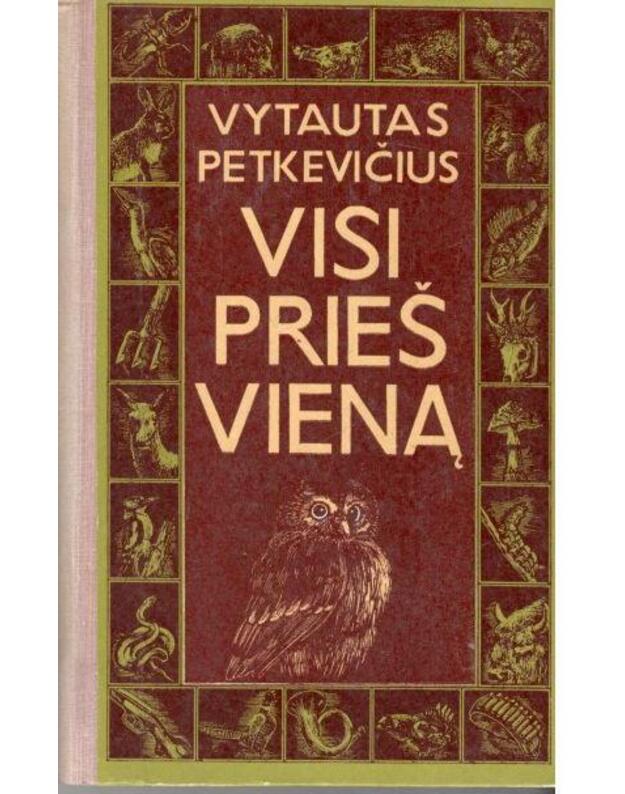 Visi prieš vieną. Apsakymai dideliems, mažiems ir milžinams - Petkevičius Vytautas 