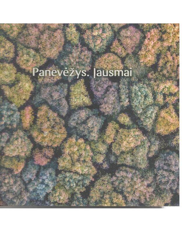 Panevėžys 2017. Jausmai - Tankūnaitė Daiva, sudarytoja