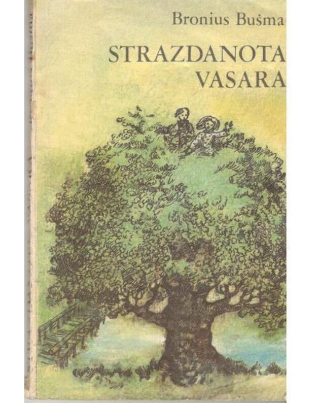 Strazdanota vasara - Bronius Bušma